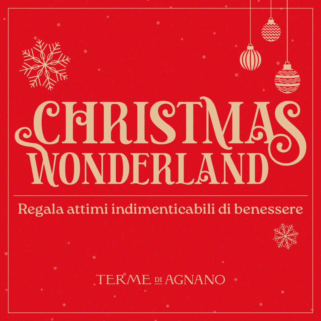 Christmas Wonderland 🎁