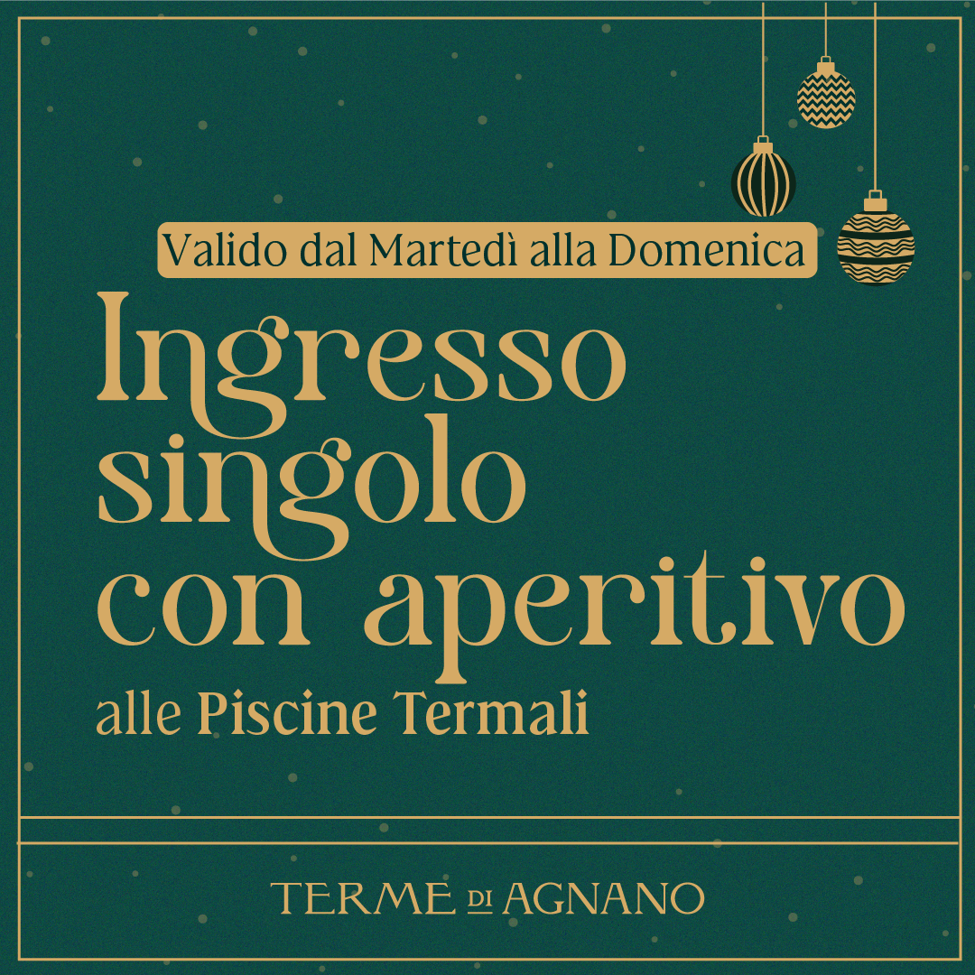 CHRISTMAS WONDERLAND🎁- Ingresso singolo con aperitivo dal martedì alla domenica - Piscine Termali