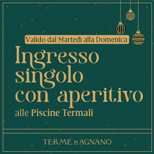 CHRISTMAS WONDERLAND🎁- Ingresso singolo con aperitivo dal martedì alla domenica - Piscine Termali
