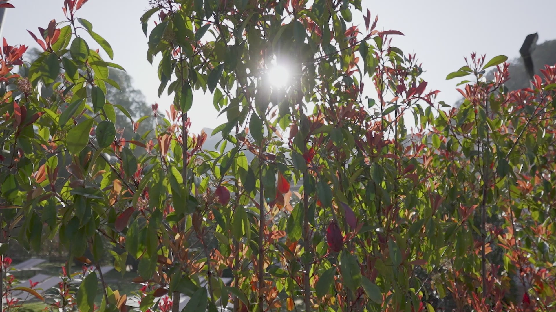 Carica il video: 